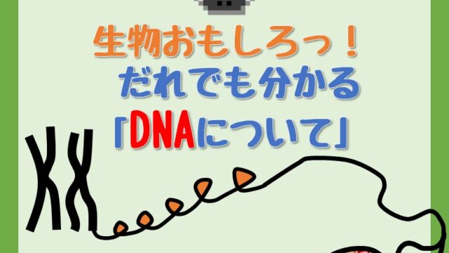 DNAについてのアイキャッチ