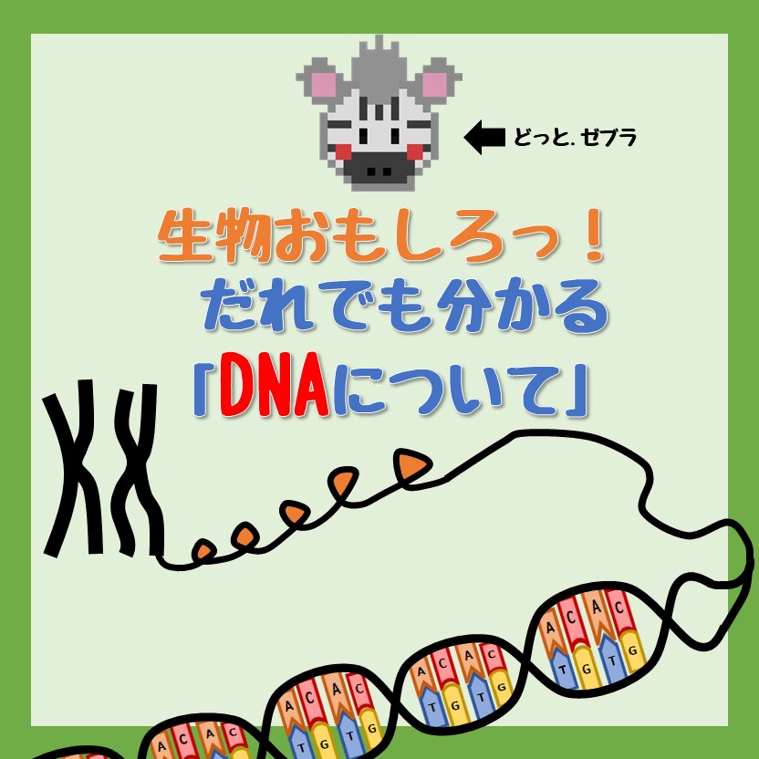 DNAについてのアイキャッチ
