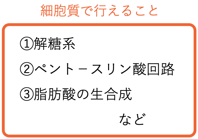 細胞質で行えること