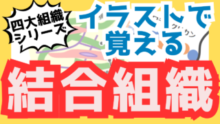 結合組織(支持組織)とは?よく分からない結合組織(支持組織)を分かりやすくイラスト解説
