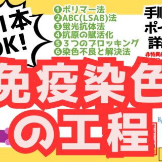 5efc34c04725015739deb3ba6750e5