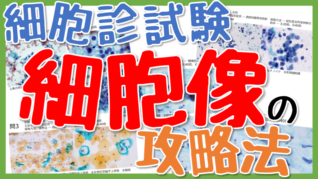 細胞検査士認定試験過去問 筆記試験解説5年分＆解答10年分と細胞像まとめ10年分 その他