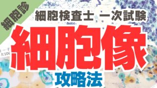 【細胞像】細胞検査士一次試験の画像問題で点を取る勉強方法
