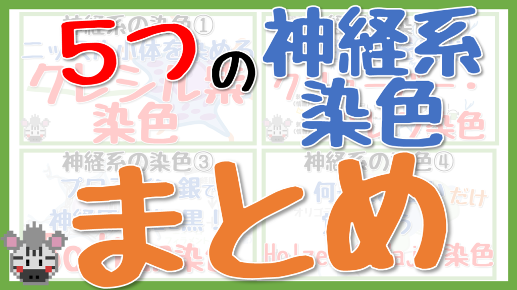 神経系の染色