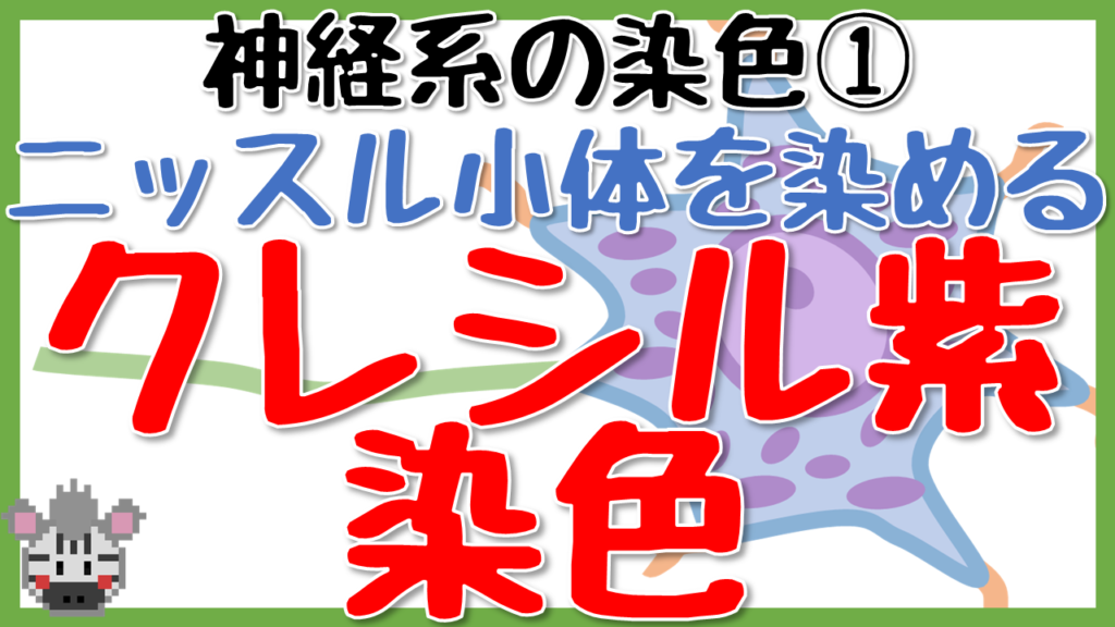 アルボクレシル ジェル リーフレット