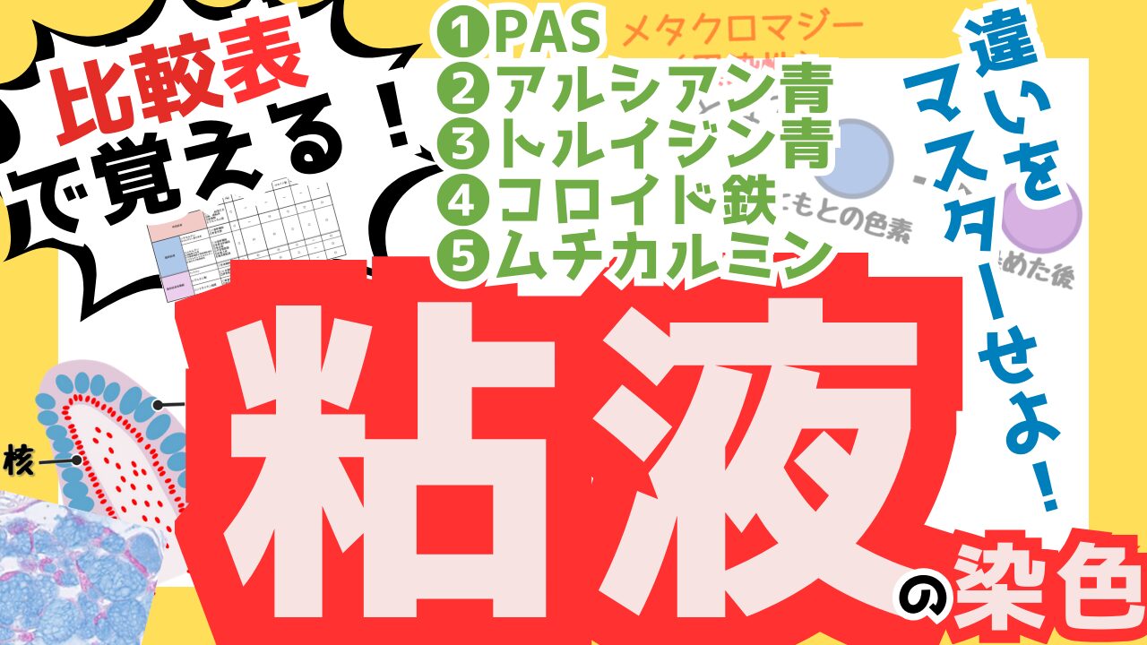 粘液のサムネ
