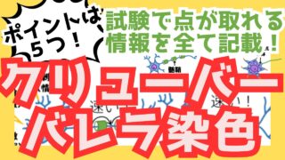 【クリューバー・バレラ染色】染色対象・色・厚さ・加温・対象疾患など試験に必要な5つのポイントを解説!