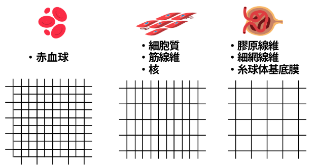 アザン染色 原理