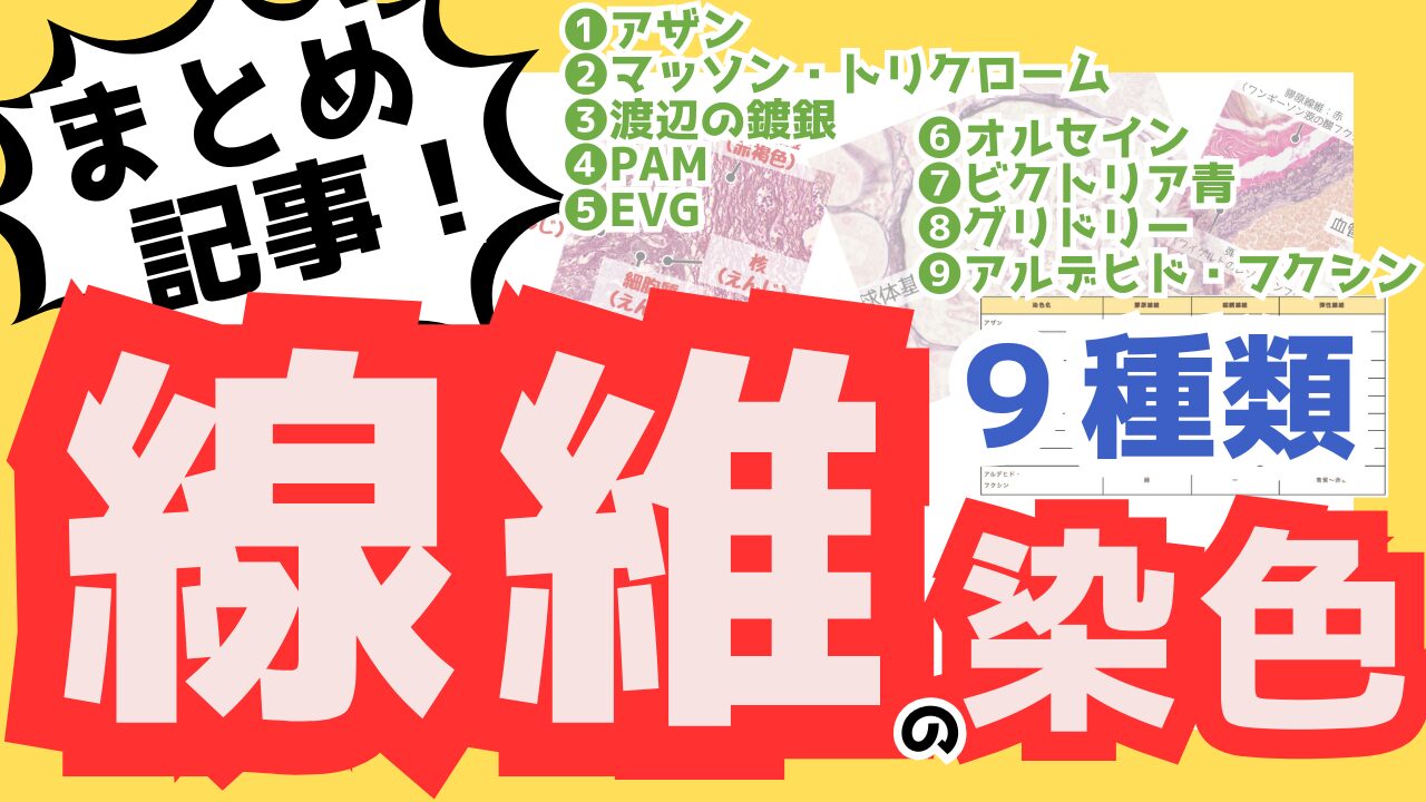 線維を染める染色まとめ