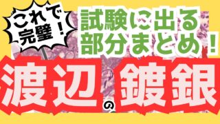 【渡辺の鍍銀染色】アンモニア銀と覚えるべき試薬・工程まとめ