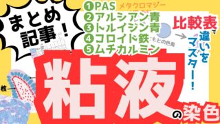 【粘液・多糖類の染色まとめ】PAS・アルシアン青・トルイジン青・ムチカルミン・コロイド鉄染色(比較表あり)