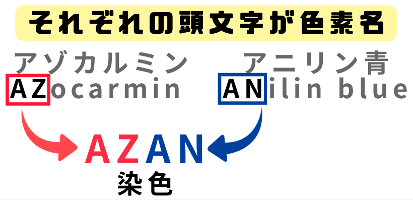アザン染色 色素 覚え方