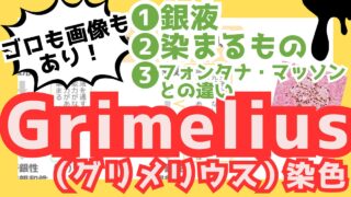 【グリメリウス染色】硝酸銀を使って内分泌系を染める染色をイラスト試験対策！