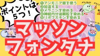 【マッソン・フォンタナ染色】原理・手順・目的・関連疾患をイラスト解説！