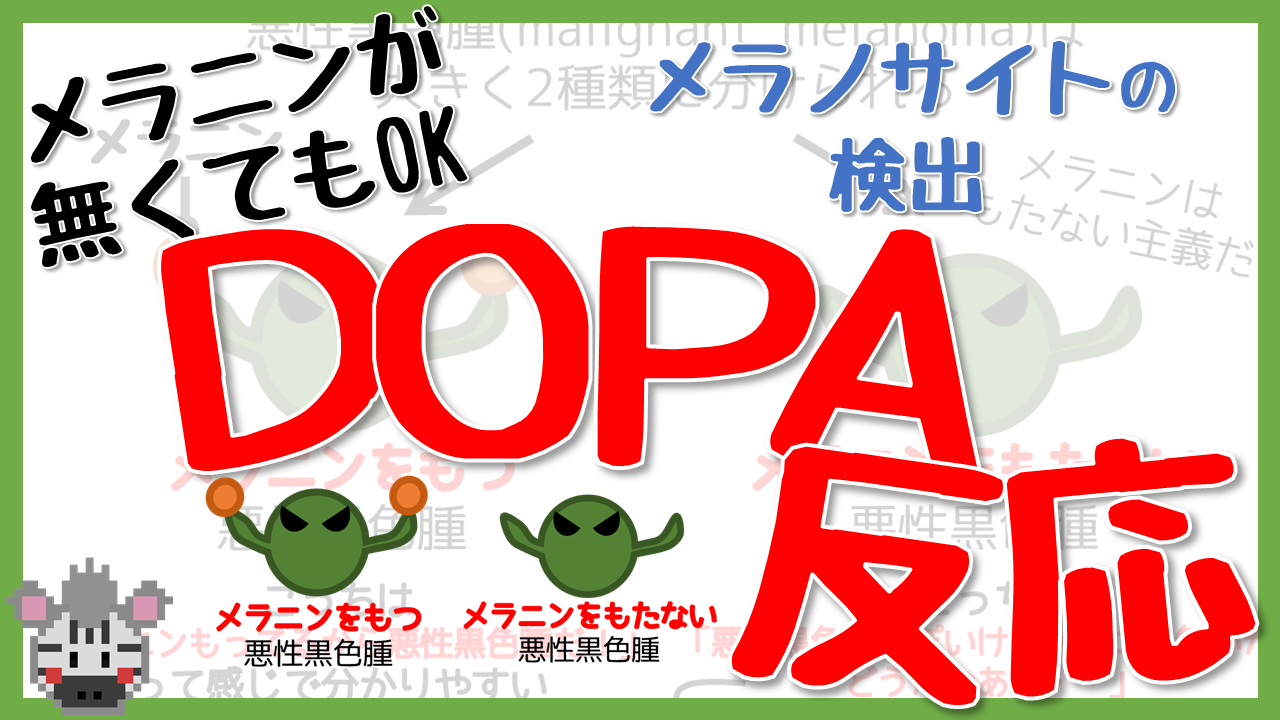 DOPA反応