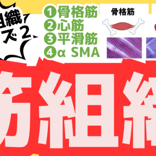 30946791ac90c9865ff2c54a1fe841