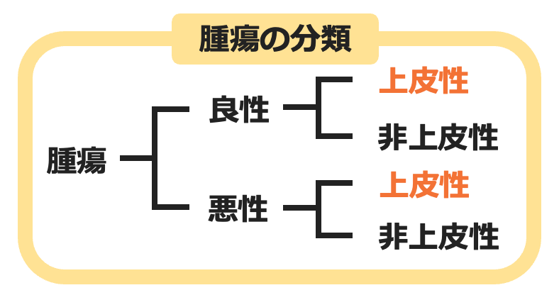 腫瘍の分類