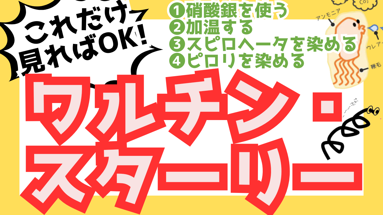 ワルチン・スターリー染色