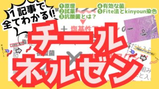 【チール・ネルゼン染色】原理・方法・脱色法から陽性菌をイラスト解説！Fite法とkinyoun染色も