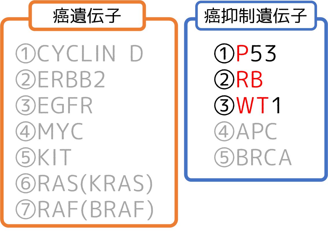 試験に出る12の癌遺伝子 ＆ 癌抑制遺伝子 の攻略法 どっと. New