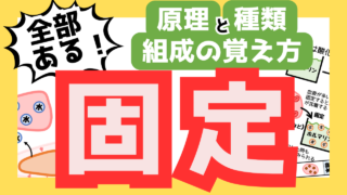 【ゴロあり】試験に必要な固定の全知識と覚え方