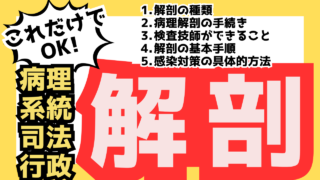 【解剖】病理・系統・司法・行政解剖の違いと重要部分まとめ
