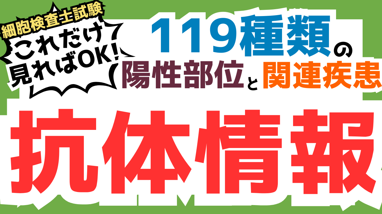 保護中: 【細胞検査士試験対策用】免染抗体情報まとめ(過去問解説集特典)