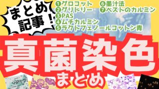 【真菌染色まとめ】グロコット｜グリドリー｜PAS｜ムチカルミン｜墨汁法｜ラクトフェノールコットン青｜ベストのカルミン