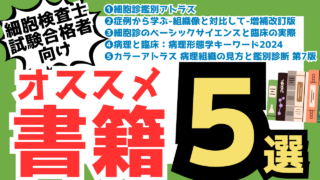 a5280d940514e705f7f6ad37b0f15a
