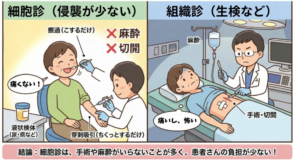 「細胞診(侵襲が少ない)」と「組織診(生検など)」を比較したイラスト。 左側の「細胞診」パネルでは、笑顔の患者に対し、医師が頬の内側を綿棒でこする「擦過(こするだけ)」や、腕に注射針を刺す「穿刺吸引(ちくっとするだけ)」を行っており、患者は「痛くない!」と言っている。「液状検体(尿・痰など)」の容器も置かれ、大きな赤字で「×麻酔」「×切開」と示されている。 右側の「組織診」パネルでは、手術台で不安そうな顔をした患者に対し、医師がメスで腹部を「手術・切開」しており、点滴による「麻酔」が行われている。患者は「痛いし、怖い」と言っている。 下部には「結論:細胞診は、手術や麻酔がいらないことが多く、患者さんの負担が少ない!」という帯がある。