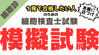 細胞検査士 模擬試験｜全8回・難易度別120問で合格力を鍛える