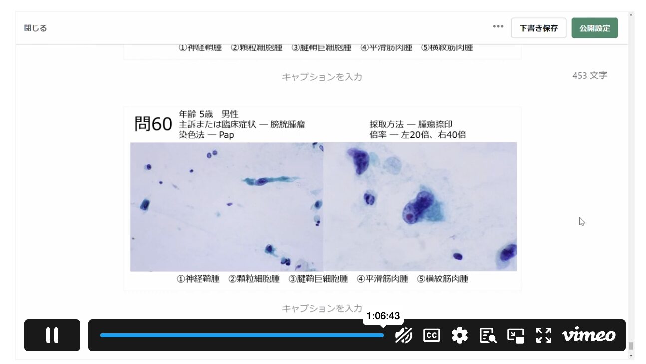 動画解説のプレビュー