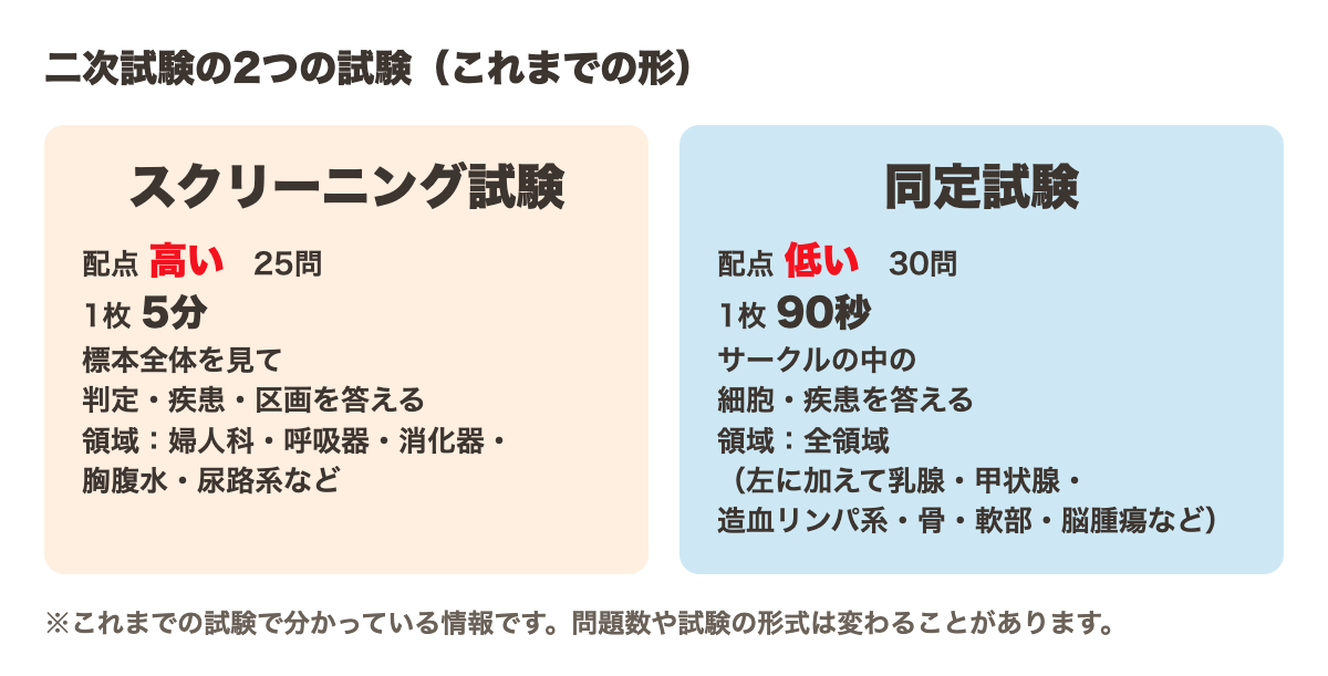 スクリーニング試験と同定試験の比較(これまでの試験で分かっている情報)。スクリーニングは配点が高く25問・1枚5分、同定は30問・1枚90秒で全領域から出る