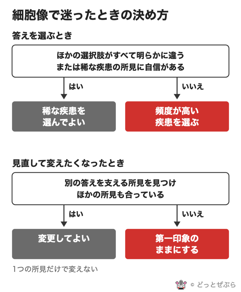 細胞像で迷ったときの決め方