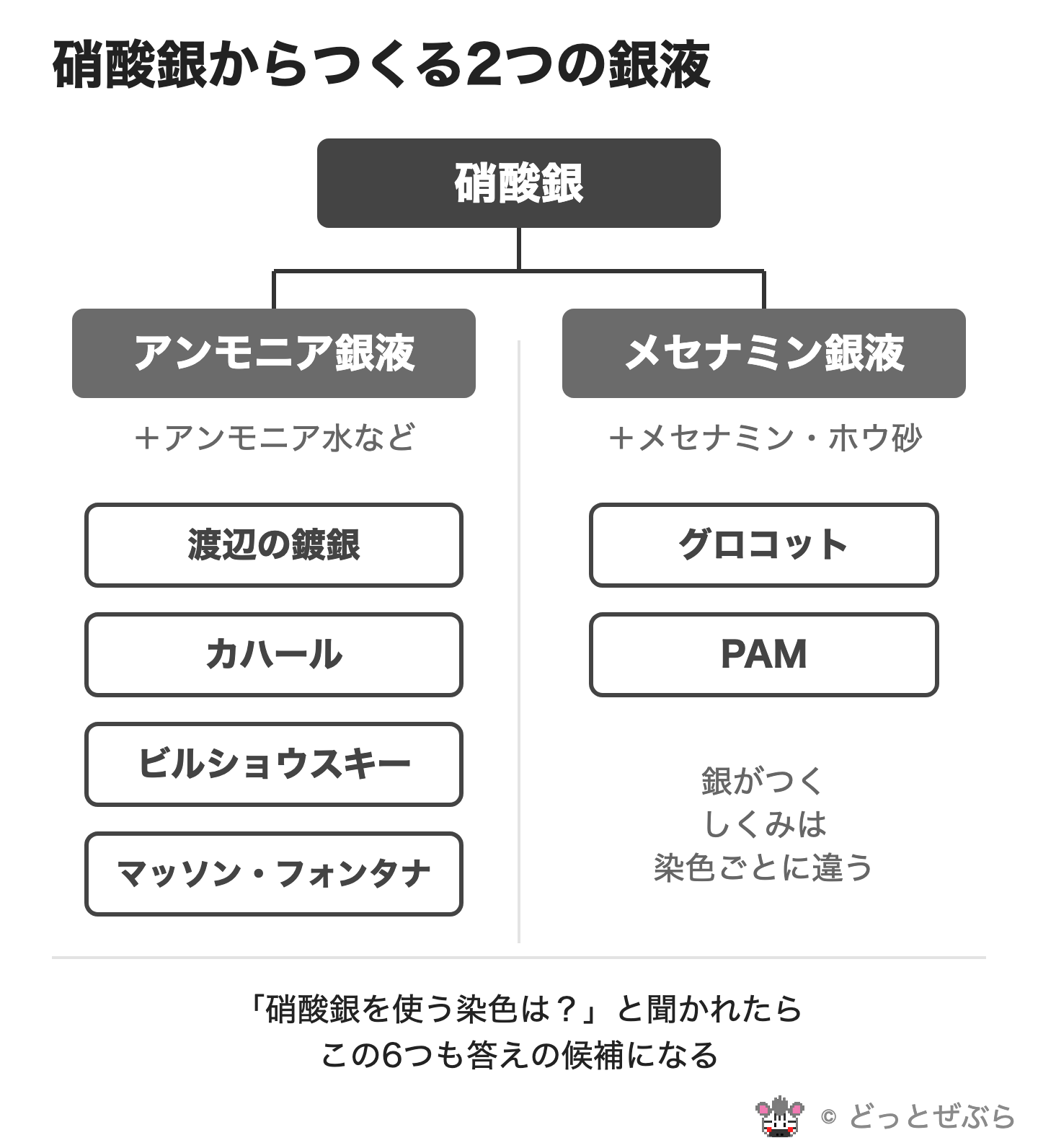 硝酸銀からつくるアンモニア銀液とメセナミン銀液、それぞれを使う染色